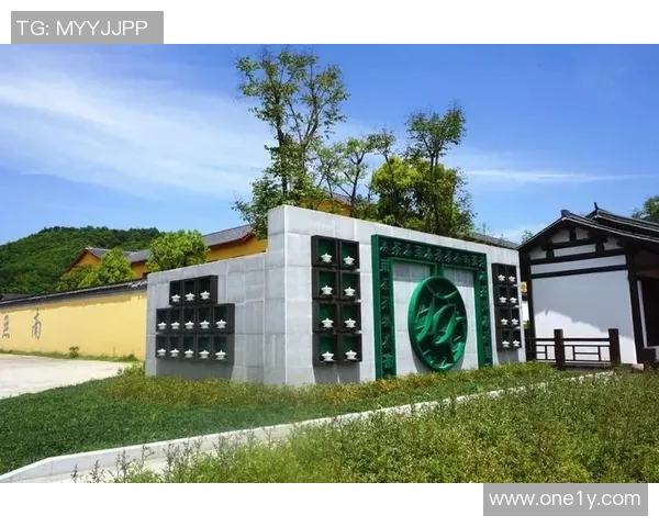 乐安足球小镇：打造足球文化与乡村振兴融合的新典范