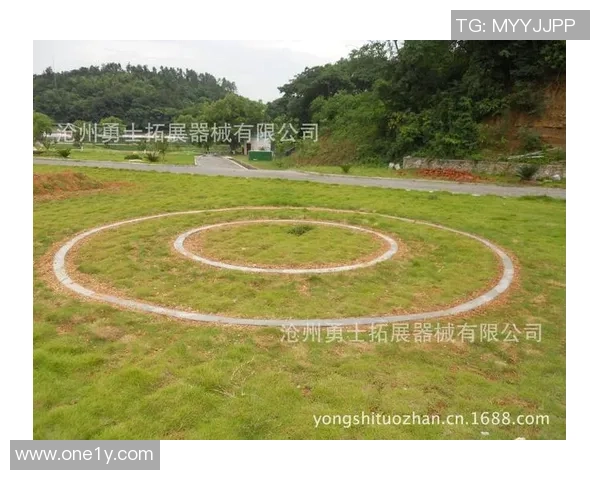 杭州极限运动队整体压制打法深度解析与战术应用探讨